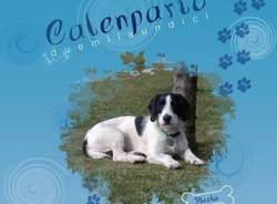 calendario enpa 2011