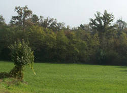 carnago apertura boschi