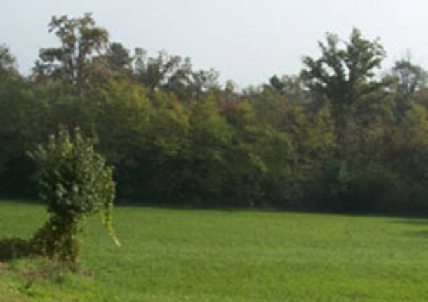 carnago apertura boschi