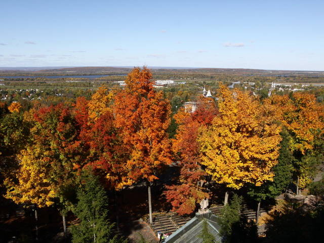 Colori autunnali dal Canada