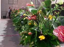 coppa lombardia fiori