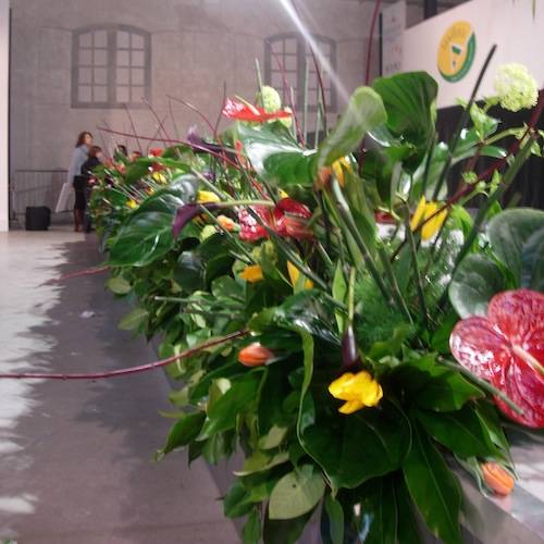 coppa lombardia fiori