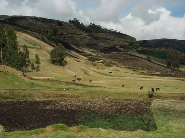 Ecuador