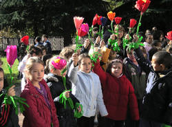 festa degli alberi scuole gemonio ottobre 2010