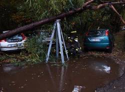 incidente maltempo caduta piante somma lombardo