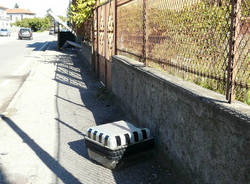 palo abbattuto caiello