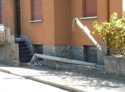 palo abbattuto caiello