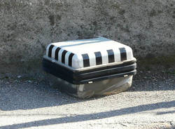 palo abbattuto caiello