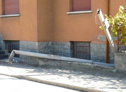 palo abbattuto caiello