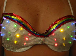 reggiseni