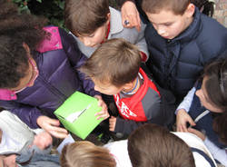 scuola luvinate festa d'autunno