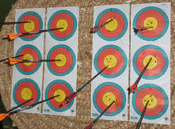 tiro con l'arco cocquio trevisago apertura bersaglio