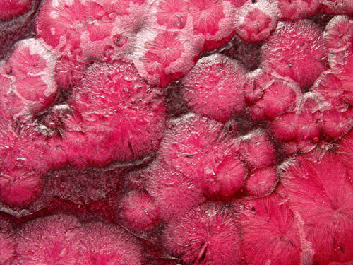 vetro mostra dell'artigianato artistico varesino