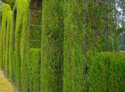 villa toeplitz nuova