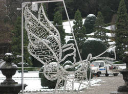 artigiani davide ielmini oltre la linea