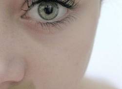 lalter foto busto arsizio foto