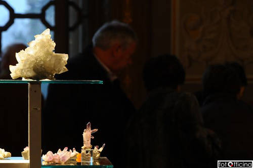 mostra fossili e minerali ville ponti novembre 2010