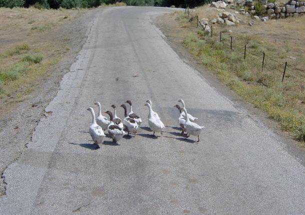 Nelle strade della Turchia