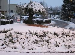 neve gazzada 2010