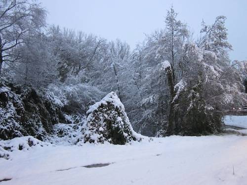 neve gazzada 2010