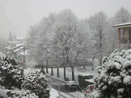 nevicata 28 novembre 2010