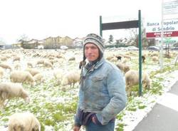 pastore gregge cavaria