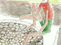 pinocchio parco zanzi schiranna