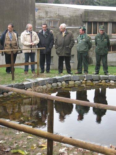 scuola media vidoletti varese i
