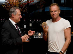 sting tartufo in regalo