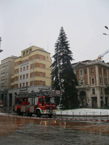 albero del sorriso piazza monte grappa dicembre 2010