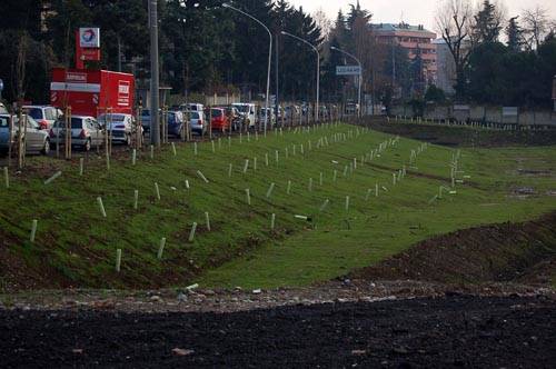 castellanza nuove sponde fiume olona