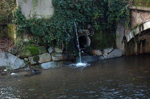 castellanza nuove sponde fiume olona