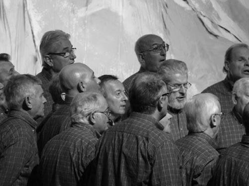 coro penna nera gallarate