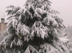 galleria neve valcuvia primo dicembre 2010