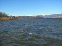 lago varese dicembre 2010