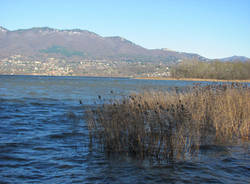 lago varese dicembre 2010