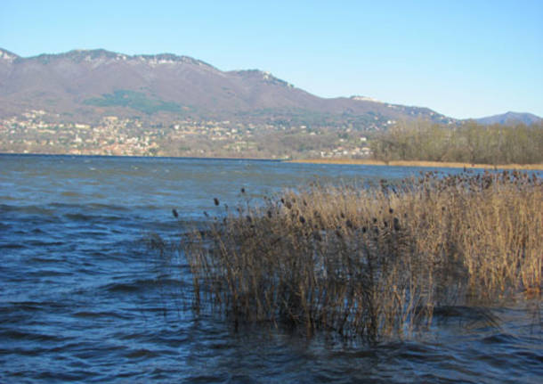 lago varese dicembre 2010