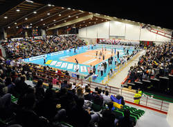 mc carnaghi pallavolo palaborsani