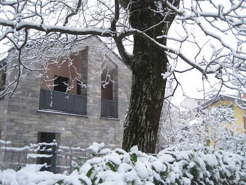 neve 6 dicembre 2010 alberi innevati