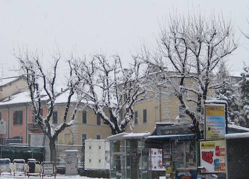 neve 6 dicembre 2010 alberi innevati