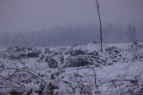 neve autostrada a8 castellanza