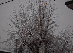 neve autostrada a8 castellanza