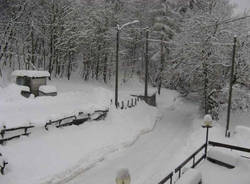 neve boarezzo dicembre 2010 foto di Seresini Veronica