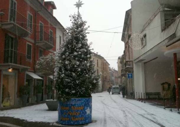 neve gallarate 17 dicembre albero di natale