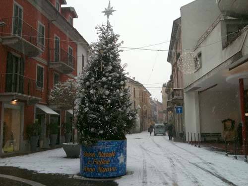 neve gallarate 17 dicembre albero di natale