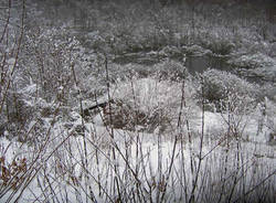 neve ghirla 1 dicembre 20101