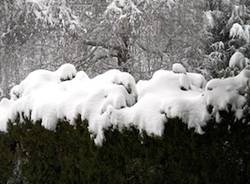 neve lettori dicembre 2010