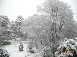 neve lettori dicembre 2010