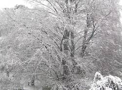 neve lettori dicembre 2010