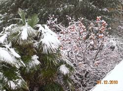 neve lettori dicembre 2010
